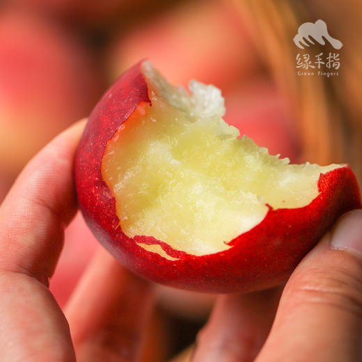 生态元江红宝石桃 | 合作生产*Eco-ruby peach | Partner Production 商品图0