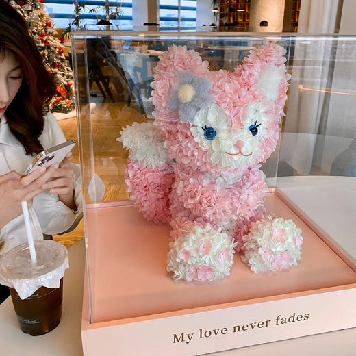 VBEINGS花语 永生花 玲娜贝儿/星黛露 商品图3