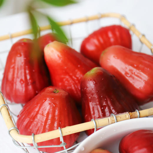 海南高山芭比莲雾  3斤礼盒装约7-15个 商品图0