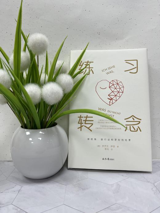 练习转念    【德】弗劳克·伊恩 商品图1