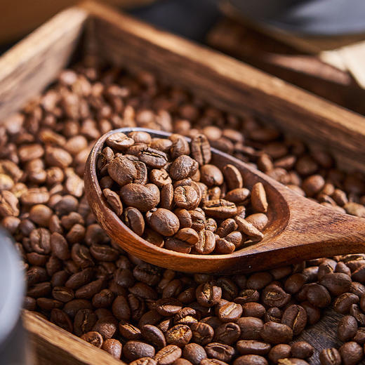善品公社·云南普洱烘焙咖啡豆 | 高品质云南小粒咖啡 新鲜烘焙 商品图0