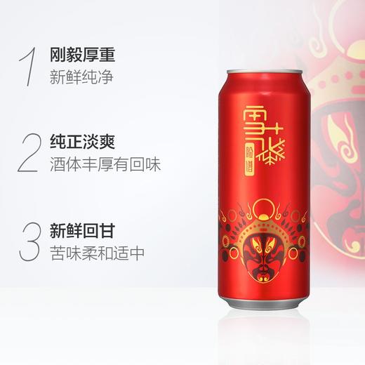 雪花脸谱花脸（概念系列）11.5度500ml听 商品图1