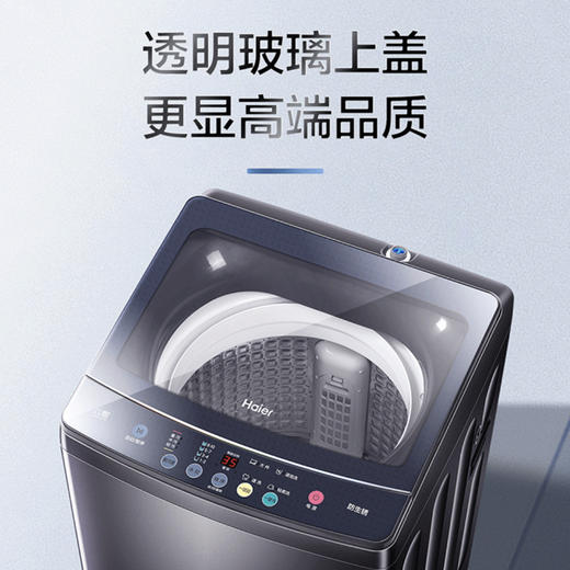 海尔（Haier）洗衣机 XQB100-M318 商品图11