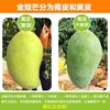 海南金煌芒8斤礼盒装【分仓直发，72小时发货，周末节假日不发货】 商品缩略图5