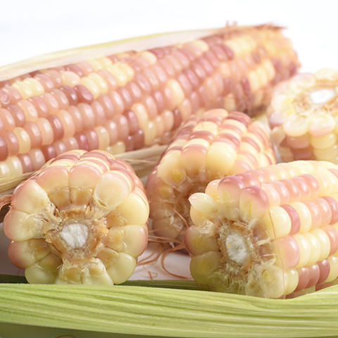 【糯】西双版纳香糯小玉米3斤装 优质玉米 新鲜开售 商品图6