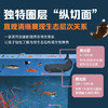 不可思议的大自然剖面图（全2册） 商品缩略图1