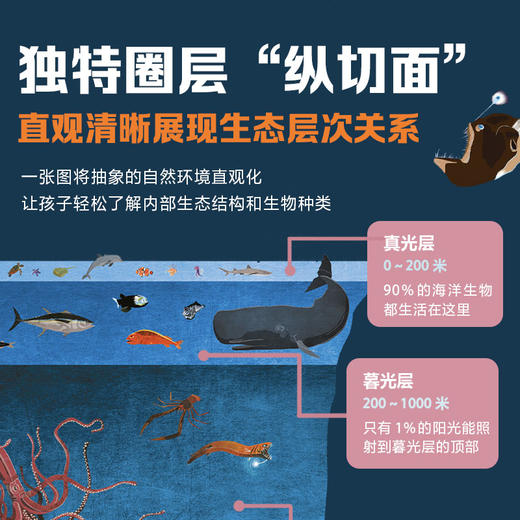 不可思议的大自然剖面图（全2册） 商品图1