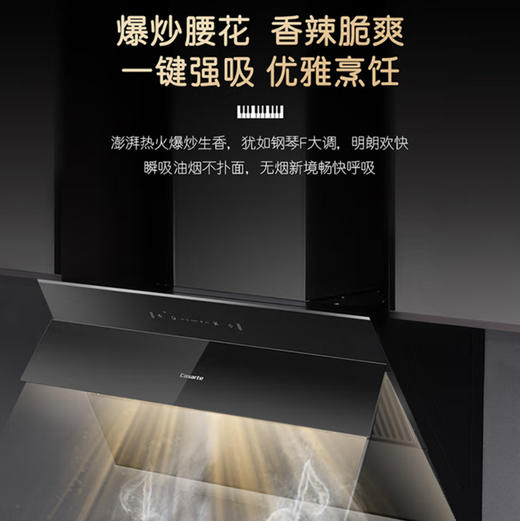 卡萨帝（casarte）烟机 CXW-258-CJYC5U1 商品图2