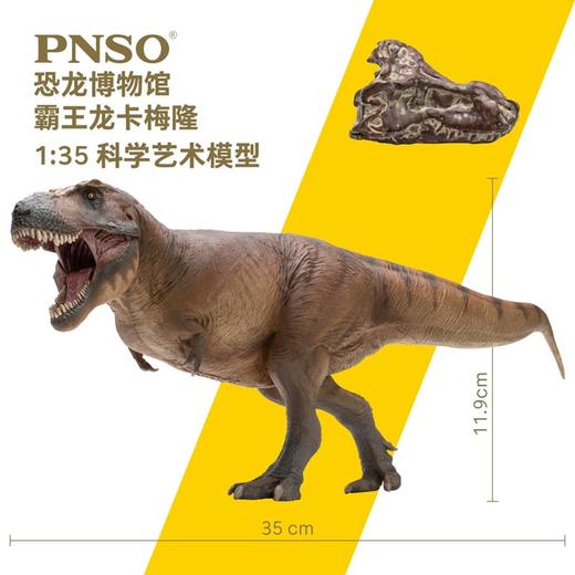 PNSO新版霸王龙卡梅隆附霸王龙头骨恐龙博物馆1:35科学艺术模型 商品图5
