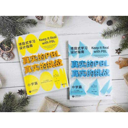 【源创图书】真实的PBL，真实的挑战:  项目式学习设计指南（中学篇） [美] 珍妮弗•皮埃拉特 （Jennifer Pieratt）著 商品图3