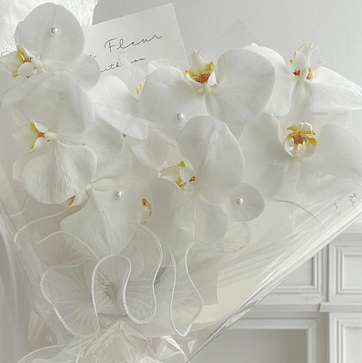 《纯净》蝴蝶兰花束 商品图1