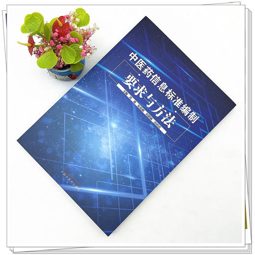 中医药信息标准编制要求与方法 肖勇 朱佳卿 刘群峰 沈绍武 著 中国中医药出版社 书籍 商品图2