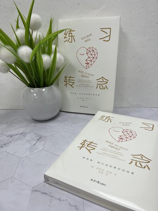 练习转念    【德】弗劳克·伊恩 商品图7