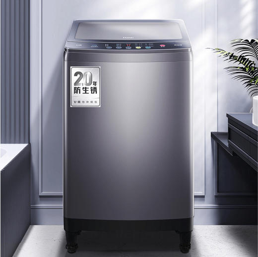 海尔（Haier）洗衣机 XQB100-M318 商品图7