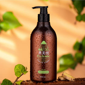姜蓉精粹洗发露/姜蓉精粹护发素