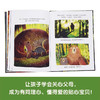 大熊 小熊和音乐会 3-6岁 大卫·利奇菲尔德 著 儿童绘本 商品缩略图1