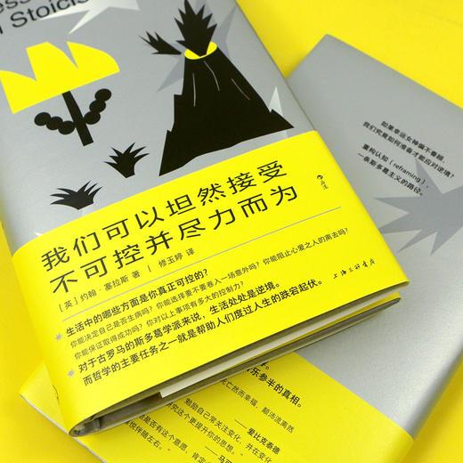 我们可以坦然接受不可控并尽力而为 哲学永恒的重要性，就是为人们的心理健康负责。 商品图3