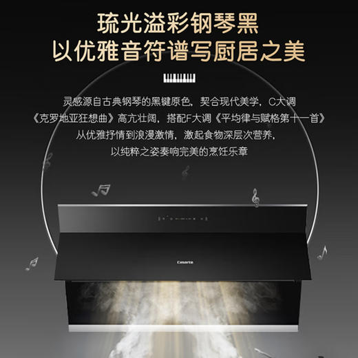 卡萨帝（casarte）烟机 CXW-258-CJYC5U1 商品图1