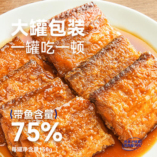 阿尔帝渤海湾带鱼罐头 商品图1