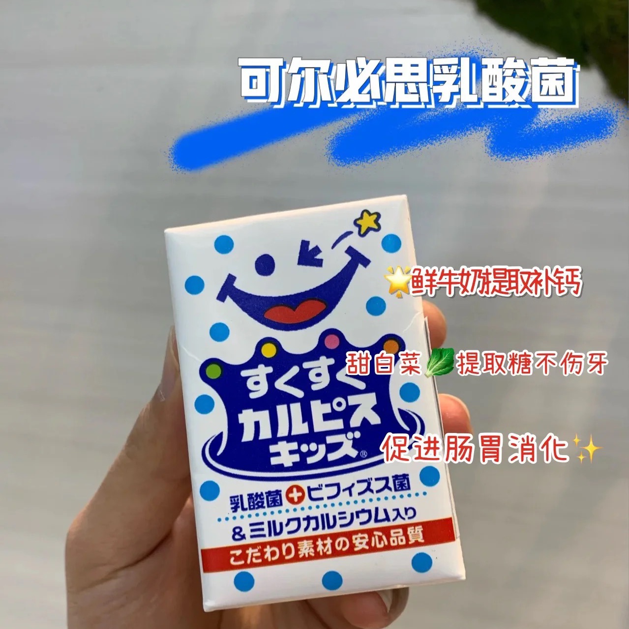 可尔必思乳酸菌饮料（儿童版）