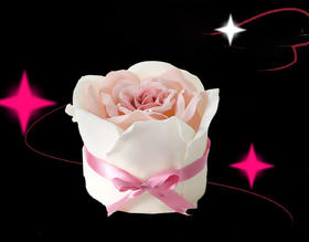 【520】限定玫瑰来信6英寸