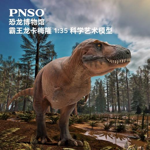 PNSO新版霸王龙卡梅隆附霸王龙头骨恐龙博物馆1:35科学艺术模型 商品图0