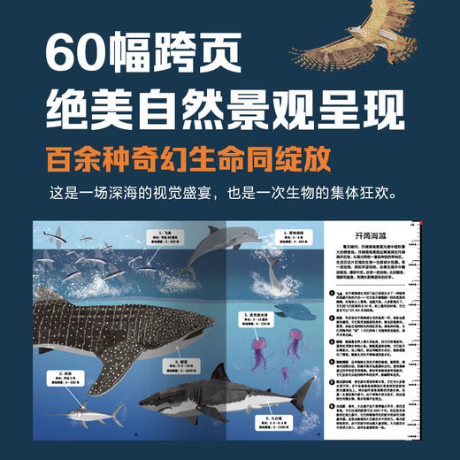 不可思议的大自然剖面图（全2册） 商品图5
