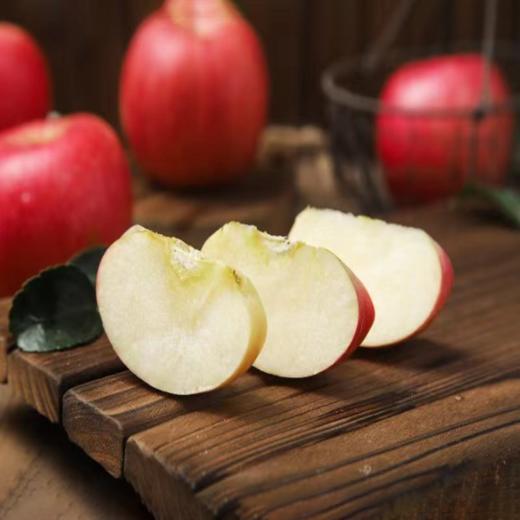 烟台富士9粒礼盒装【分仓直发，72小时发货，周末节假日不发货】 商品图0