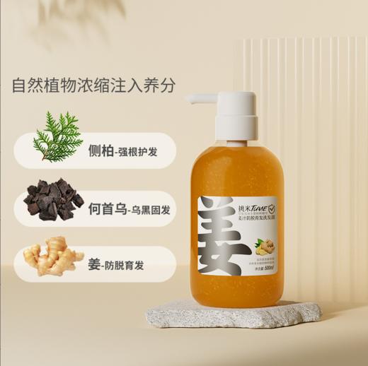 挑米博倩防脱育发生姜精华滋养洗发水（500ml/瓶）两瓶装 商品图0