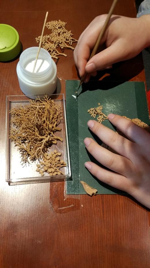 “小小设计师 皆喜在闽南” 福建研学之旅 商品图10