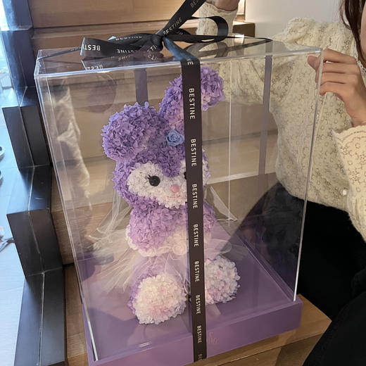 VBEINGS花语 永生花 玲娜贝儿/星黛露 商品图5