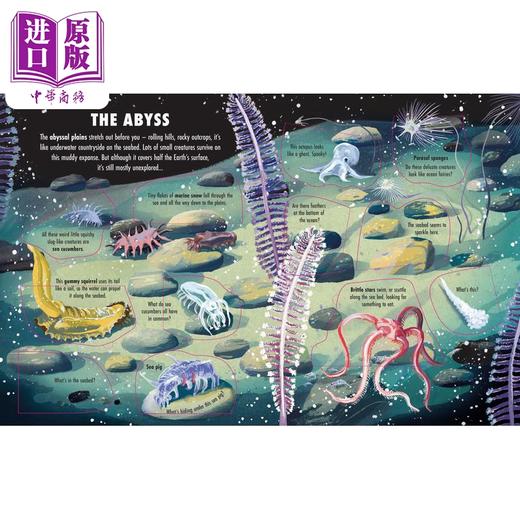 【中商原版】Extreme Planet: The Deep 极地星球:深海探秘 科学自然绘本 英文原版进口图书 知识百科图书 儿童读物百科全书 商品图3
