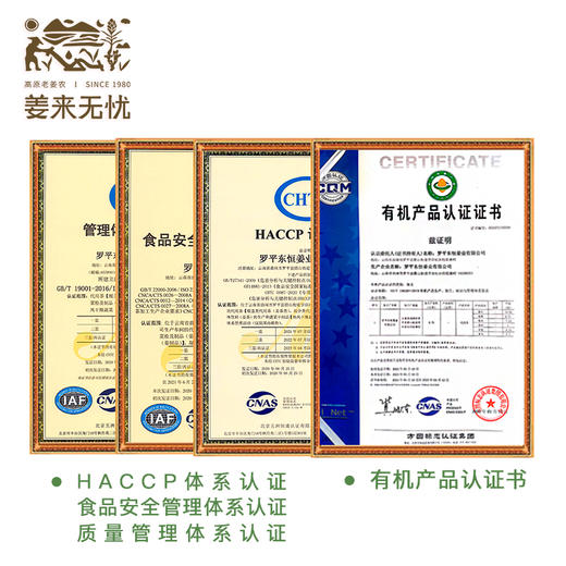 有机姜素100克/瓶 商品图4