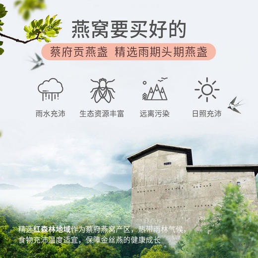 蔡府印尼溯源进口燕窝贡燕盏50g孕妇滋补100g干燕窝礼盒唾液酸＞12 D 商品图2