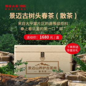 【直播间专属】2023年景迈古树头春散茶尝鲜品鉴装50g（密封袋装）