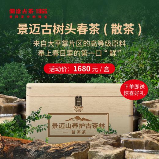 【直播间专属】2023年景迈古树头春散茶尝鲜品鉴装50g（密封袋装） 商品图0
