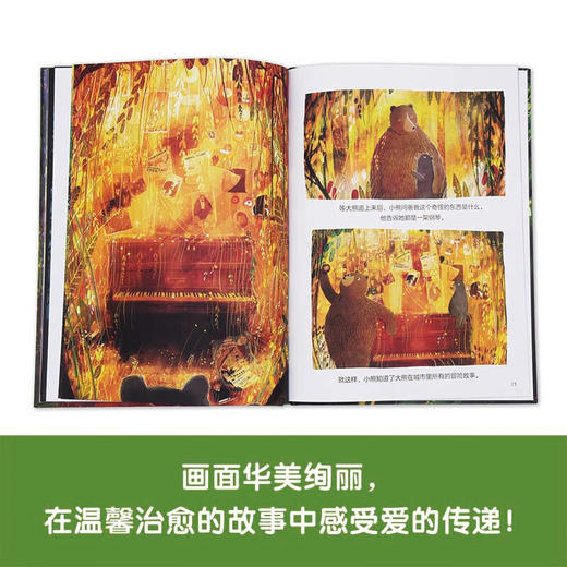 大熊 小熊和音乐会 3-6岁 大卫·利奇菲尔德 著 儿童绘本 商品图2