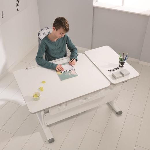 德国原装进口Paidi儿童学习桌椅 伴读凳 通过欧洲最严苛的认证 可调节倾斜角度 高度可升降 |百里居 商品图2