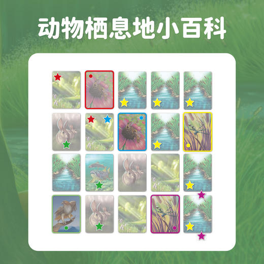 【上新】一刻馆 《生态系统》布局生态策划规范益智桌游 商品图2