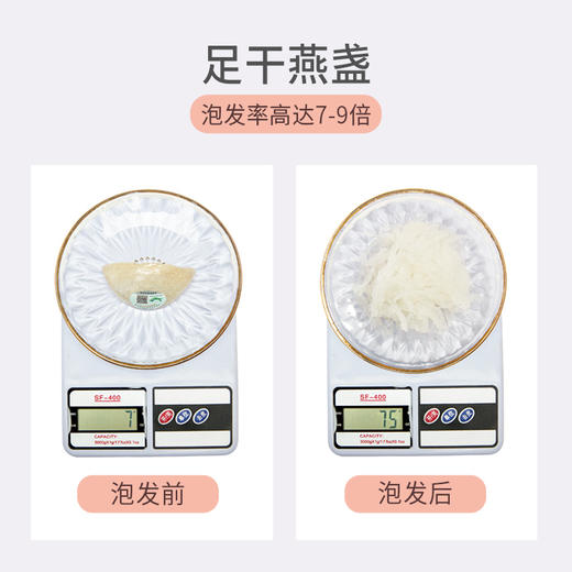 蔡府印尼溯源玉纯燕盏50g 商品图2