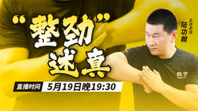 【5月19日】“整劲”述真