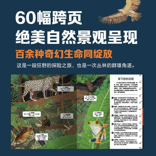 不可思议的大自然剖面图（全2册） 商品图3