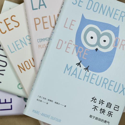 知心书五辑：安全型依恋+被傲慢绑架+被虚构的焦虑+恰到好处的界限 商品图2