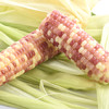 【糯】西双版纳香糯小玉米3斤装 优质玉米 新鲜开售 商品缩略图8