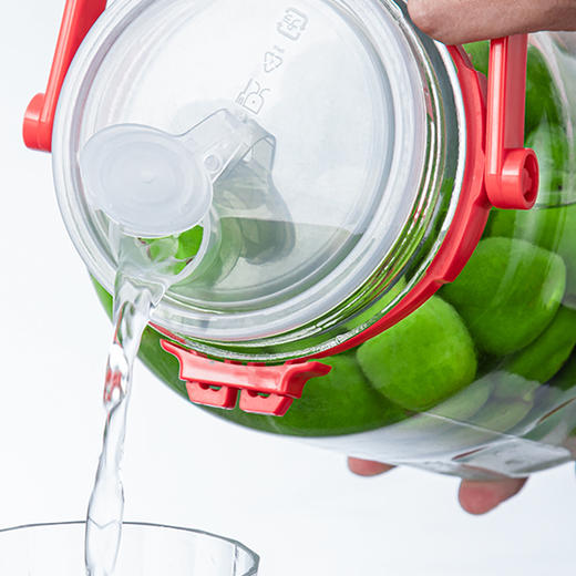 土耳其进口泡酒罐玻璃酵素瓶密封罐玻璃罐子密封储物罐储粮密封瓶 商品图2