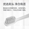 Midea美的活力MR1系列电动牙刷-MC-AJ0101（白色）【分仓直发，72小时发货，节假日不发货】 商品缩略图2
