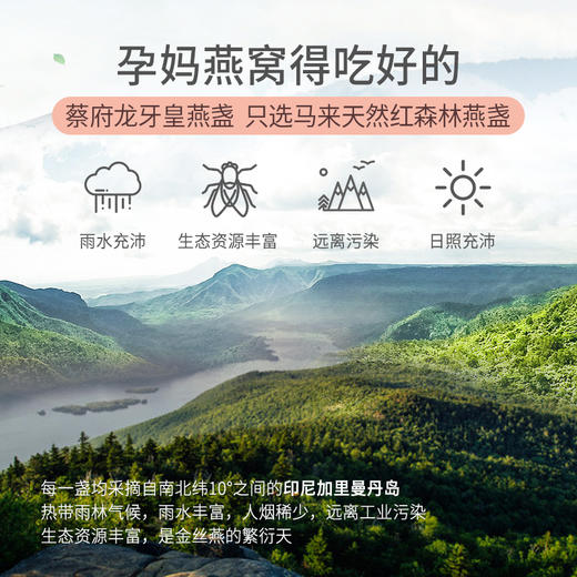 【蔡府甄选 干盏燕窝】  马来溯源龙牙皇燕盏50克 D 商品图2