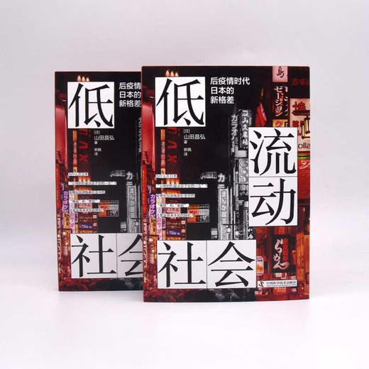 低流动社会 后疫情时代日本的新格差 山田昌弘 著 社会科学 商品图3