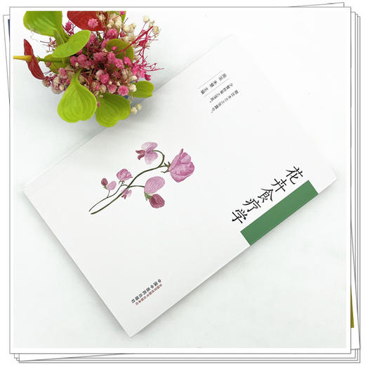 花卉食疗学 周浓 朱慧 主编 中国中医药出版社 药食同源 食疗 药膳 书籍 商品图2