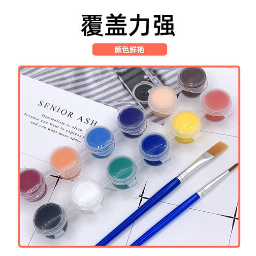 【3-5天发货】意大利DAS得仕石塑粘土手工套装 商品图3